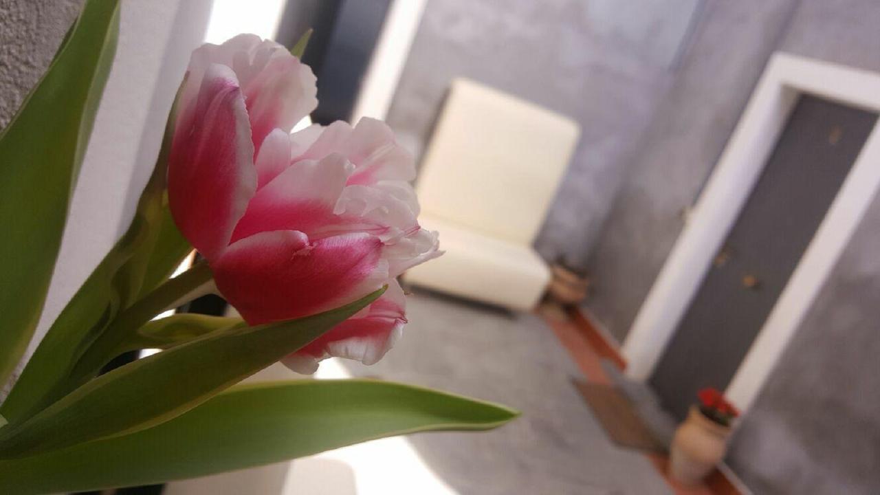 I Cappuccini Rooms 卡塔尼亚 外观 照片